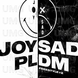 PLDM #2 - joysad