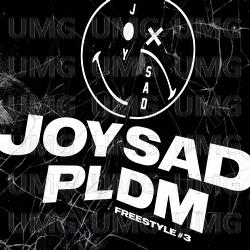PLDM #3 - joysad