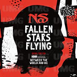 Fallen Stars Flying - Nas