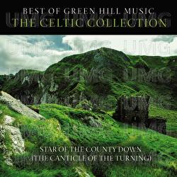 Star Of The County Down (The Canticle Of The Turning) - Sam Levine