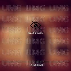 Sensible Inhalte - Sylabil Spill