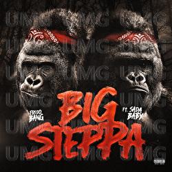Big Steppa - Fredo Bang, Sada Baby