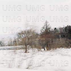 Falling Raw Umber - synfilums