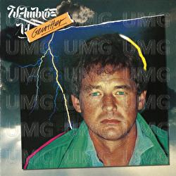Gewitter - Wolfgang Ambros