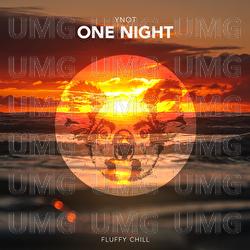 One Night - YNOT