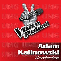 Kamienice - Adam Kalinowski