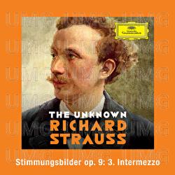 Strauss: Stimmungsbilder, Op. 9: No. 3 Intermezzo