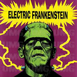 I'm Not Your (Nothing) - Electric Frankenstein