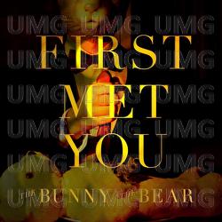 First Met You - The Bunny The Bear