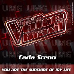 You Are The Sunshine Of My Life - Carla Sceno