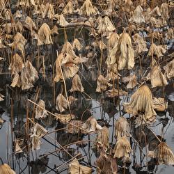 Mercedes - Jos&eacute; Madero