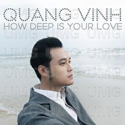 How Deep Is Your Love - Quang Vinh