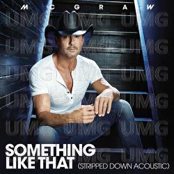 Something Like That - Tim McGraw