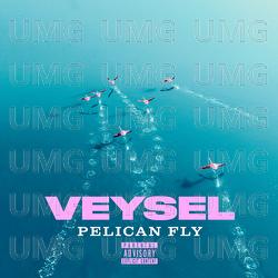 PELICAN FLY - Veysel, Miksu / Macloud