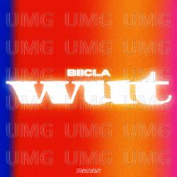 Wut - BIICLA