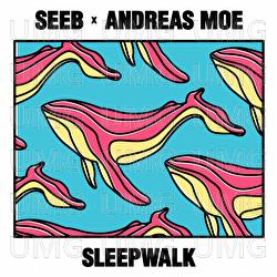 Sleepwalk - Seeb, Andreas Moe