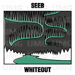 Whiteout - Seeb