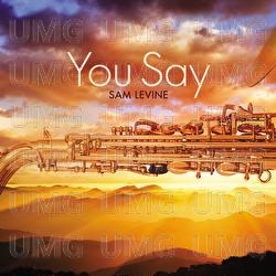 You Say - Sam Levine
