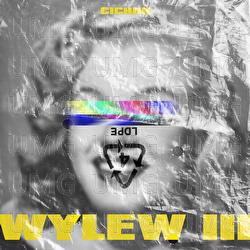 Wylew III - Cichoń