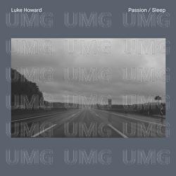 Passion / Sleep - Luke Howard, Budapest Art Orchestra