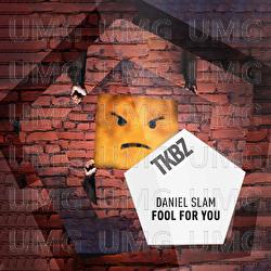 Fool For You - Daniel Slam