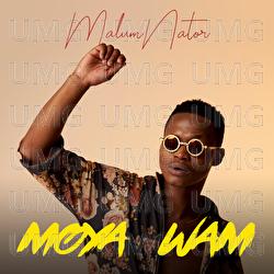 Iy'phuzo - MalumNator, De Mthuda, Ntokzin