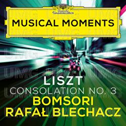 Liszt: Consolations, S. 172: No. 3 Lento placido in D Flat Major (Transcr. Milstein for Violin and Piano) - Bomsori, Rafał Blechacz
