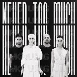 Never Too Much - Vittoria And The Hyde Park