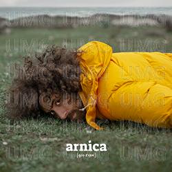 Arnica - Gio Evan