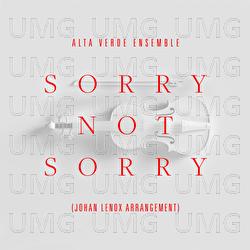 Sorry Not Sorry - Alta Verde Ensemble, johan lenox