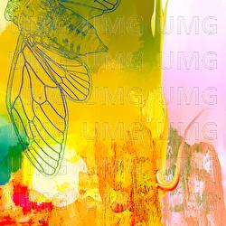 Chrysalis - AVAWAVES, Anna Phoebe, Aisling Brouwer