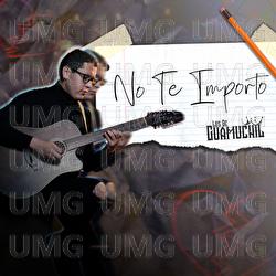 No Te Importo - Los De Guamuchil