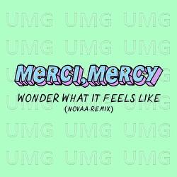 Wonder What It Feels Like - merci, mercy