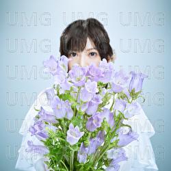 Campanula - Yuko Suzuhana