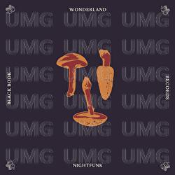 Wonderland - NightFunk