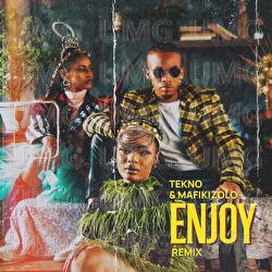 Enjoy - Tekno, Mafikizolo