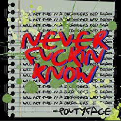 NEVER FUCKIN KNOW - poutyface