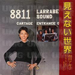Mienai Sekai - Akiko Wada