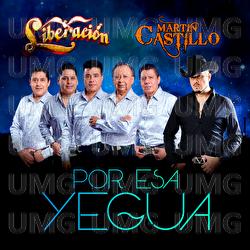 Por Esa Yegua - Liberaci&oacute;n, Martin Castillo