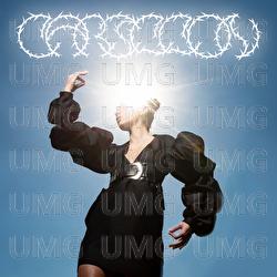 carillon - anice
