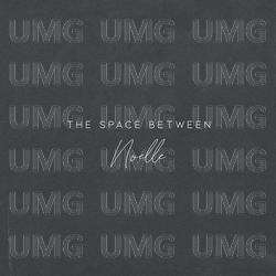 The Space Between - noelle