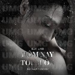 Hom Nay Toi Buon - Bao Anh