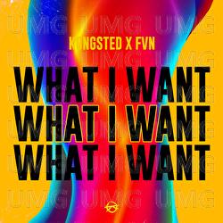 What I Want - Kongsted, FVN