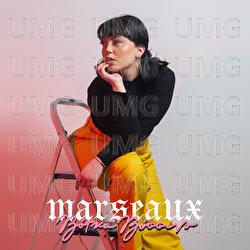 Vodka Vissino - Marseaux