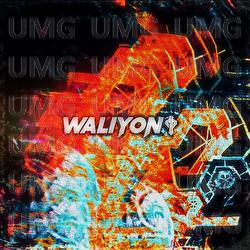 Anomaly - Waliyon