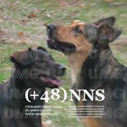 (+48) NIC NA SILE - UNDADASEA