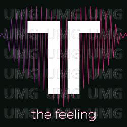 The Feeling (Hate 2 Love) - Theo Tams
