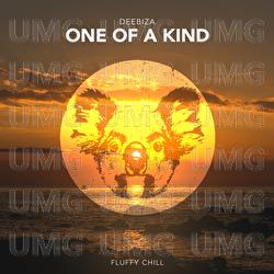 One Of A Kind - Deebiza