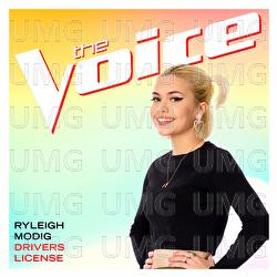 drivers license - Ryleigh Modig