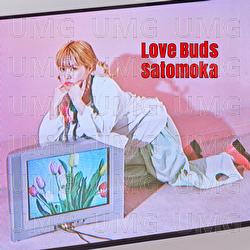 Destruction - satomoka
